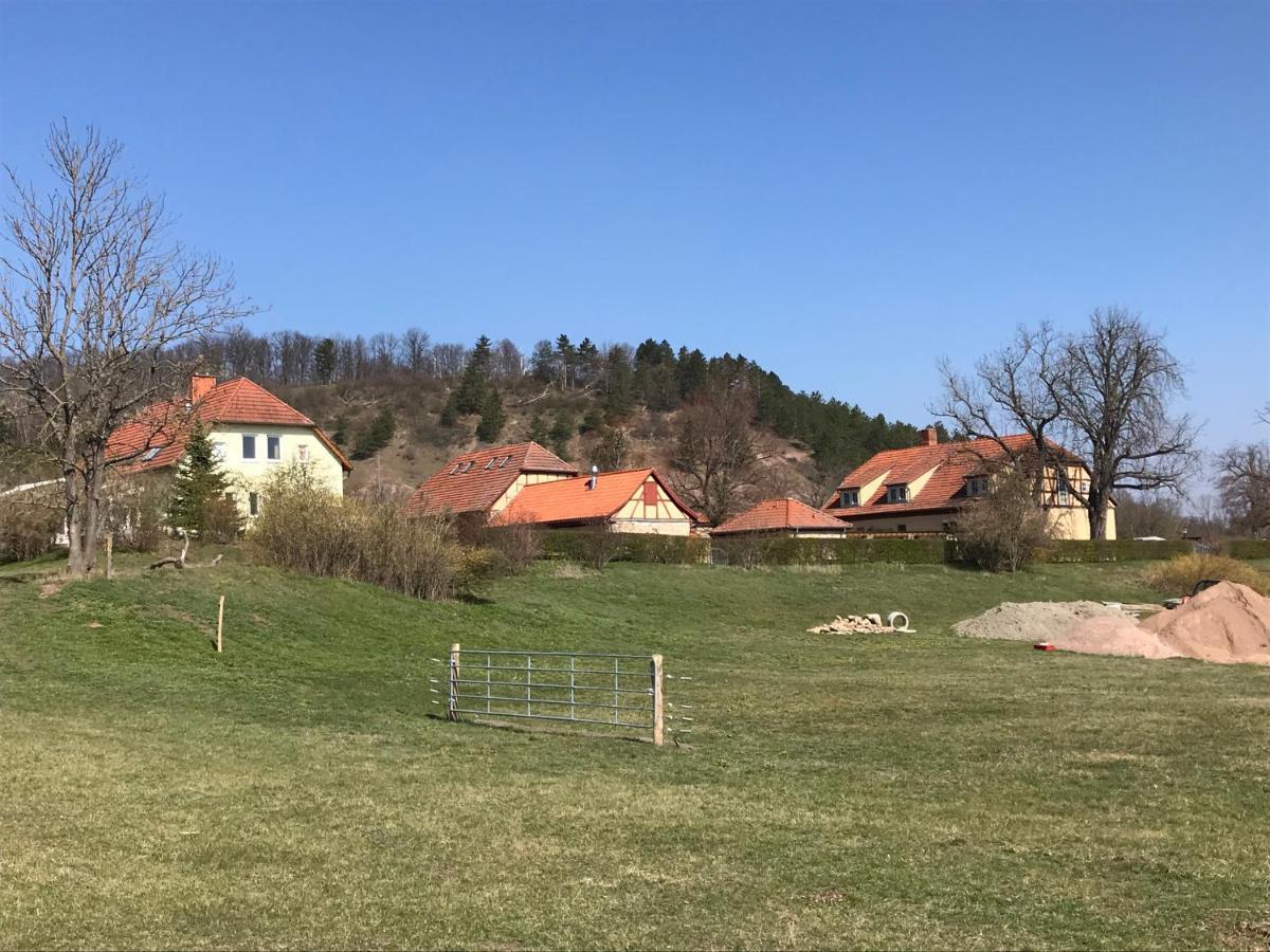 Pension Freudenthal Wandersleben Exteriér fotografie