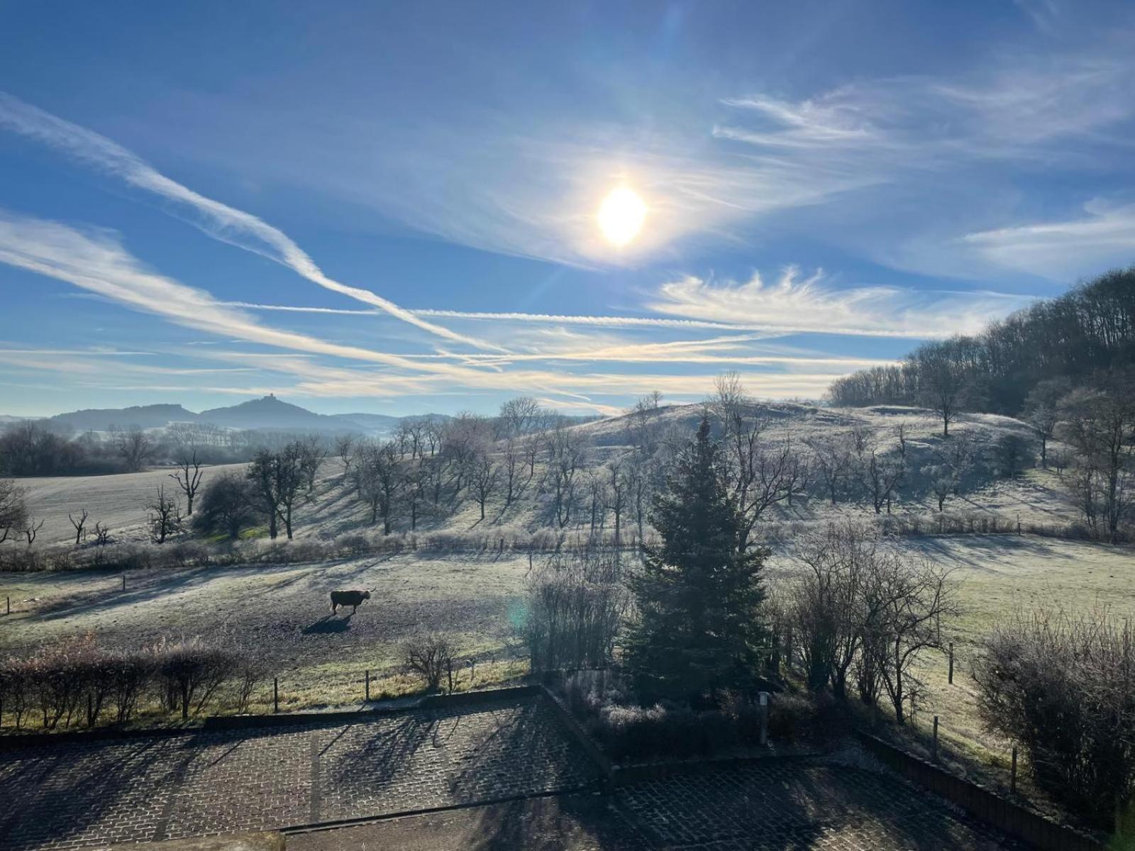 Pension Freudenthal Wandersleben Exteriér fotografie